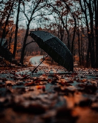 Профиль